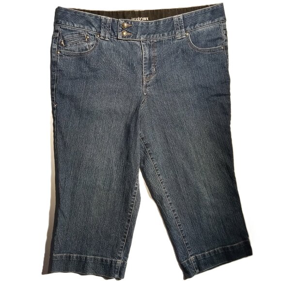 Lane Bryant Capri Denim  sz 16 Jeans  Stretch waist  Tummy Panel  2 button waist - Picture 1 of 11